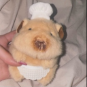 avatar miaaaaaaaaaaaaaami