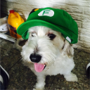 avatar chrisrebuilder