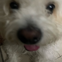 avatar ric