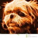 firedoges avatar