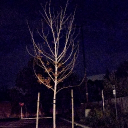 avatar TjaytheKILLAAA