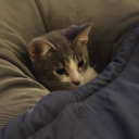 neb