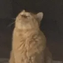 oskarthehobo