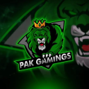 pak_gamer_1m