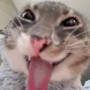 ogtenzi