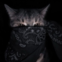 oStampy avatar