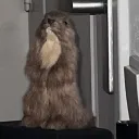 pompstariob
