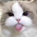 yzzznyell avatar