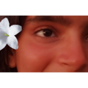 avatar Penguin hu bhai maar dunga