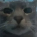 slavicmonke