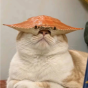 avatar Khoa Xứ Dừa