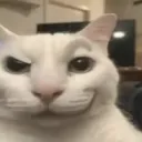 rexzii_rl