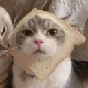bread3939