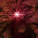 njvc member profile picture
