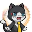 buchi_720