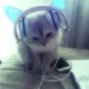 g0obr22 avatar