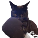 lechat0471