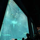 avatar ゆめしろめ