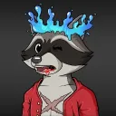 ashamed_raccoon