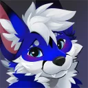 bluedragonfr