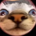 mynameistigo139 avatar
