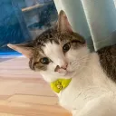 yoooda