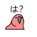 partyparrotceo4716