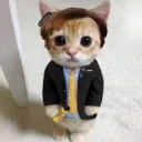 tomekcz