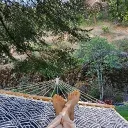 mistresscarrots avatar