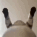 chxrc