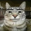 come_for_food avatar