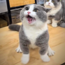 avatar Vạn Cổ Vô Nhất