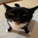 muunnyy