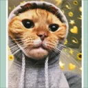 n00b_basher avatar
