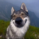 avatar Inactive Account