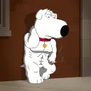 stupidmonke5056