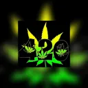 shaylin420 avatar