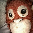 potto_09.