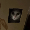 avatar Billy ‘Bang Bang’ Backshots