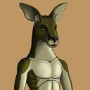 algokangaroo3451