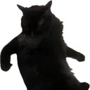 drcheesedip