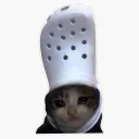 mrcat4842 avatar