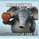 slonickk