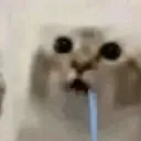 odi___