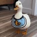 the.duckie.fughie