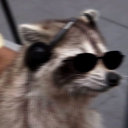 avatar _Lxve_raccoons_