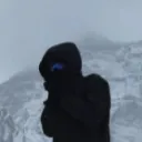 lynx_agent