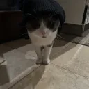 captainweebz