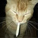 g_rub_y