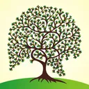 commongroundmmj9536